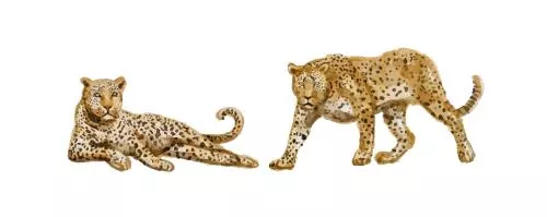 وکتور EPS مجموعه آبرنگ پلنگ 27180