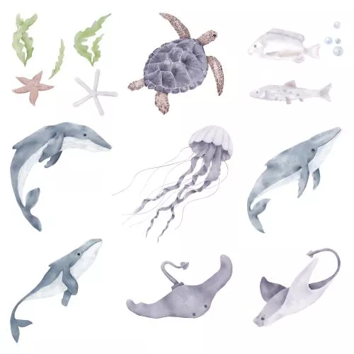 عکس با کیفیت مجموعه تصاویر آبرنگ حیوانات دریایی شامل نهنگ، ماهی، لاک‌پشت، عروس دریایی، ستاره دریایی و جلبک از دنیای زیر آب با پس‌زمینه سفید ایزوله 27211