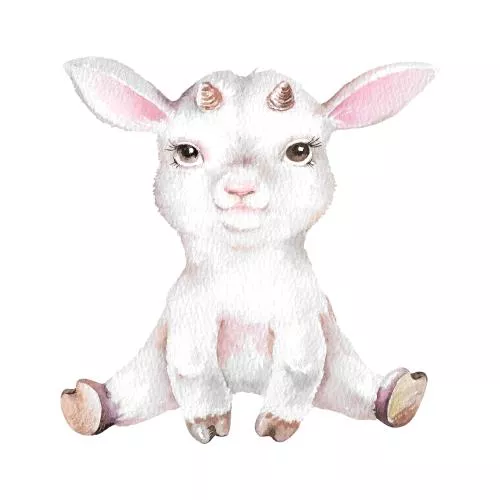 عکس با کیفیت تصویر وکتور بز کوچک پشمالوی سفید نشسته طراحی دستی آبرنگ تصویر کودکانه کلیپ ارت 27219