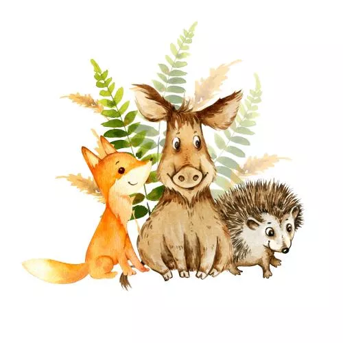 عکس با کیفیت حیوانات جنگلی کوچک و بامزه آبرنگ، گیاهان و علف‌های جنگلی، طرح کارتونی پس زمینه، گراز، روباه قرمز، جوجه تیغی با برگ‌های سرخس جنگلی، تصویرسازی خنده دار برای پوسترهای کودکان 27226