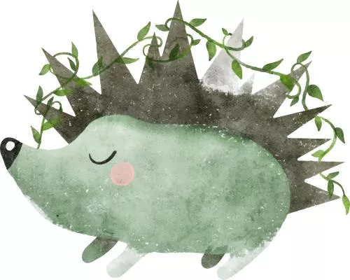 وکتور EPS تصویرگری آبرنگی جوجه تیغی با برگ ها 27283