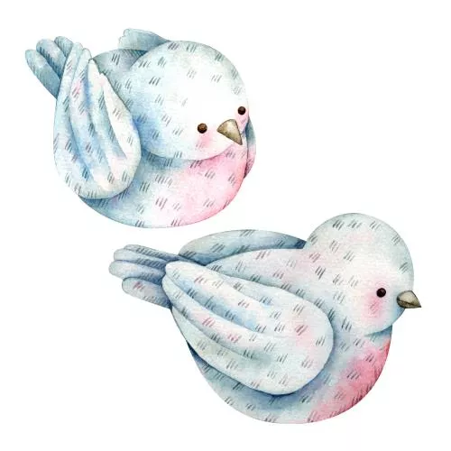 فایل PSD مجموعه دو پرنده ایزوله روی پس زمینه سفید 27325