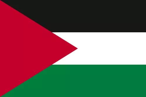 وکتور رایگان EPS پرچم فلسطین 25195