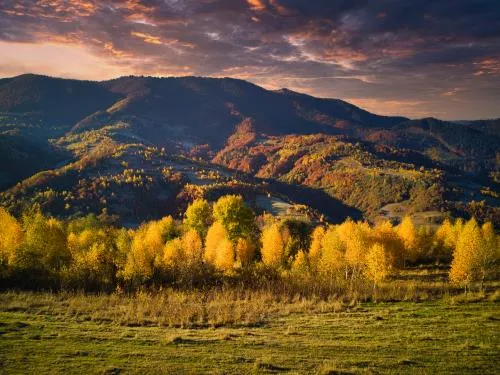 عکس با کیفیت طلوع خورشید اوکراین و دره ها و دشت های کم ارتفاع کوهستانی و مرغزارهای طلایی بسیار خیره کننده تصویر زمینه 25210