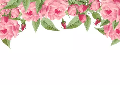 فایل PSD طرح گرافیکی قاب گلدار صورتی 27379