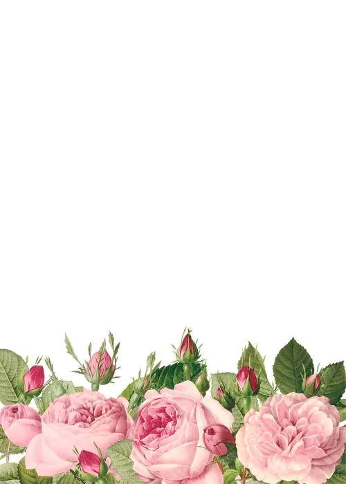 فایل PSD تصویرسازی قاب گلدار صورتی نقاشی آبرنگ 27387