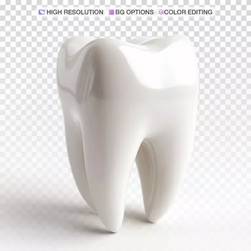 فایل PSD عکس دندان انسان با پس زمینه سفید از نزدیک 27593