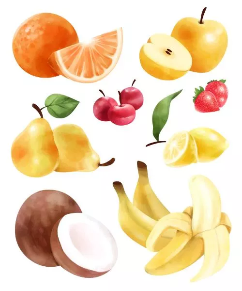 وکتور میوه های تابستانی شامل سیب و پرتقال و گلابی و آلبالو و گیلاس و توت فرنگی و موز و لیمو و نارگیل به صورت آبرنگی و وکتور EPS لایه باز با لایه بندی حرفه ای