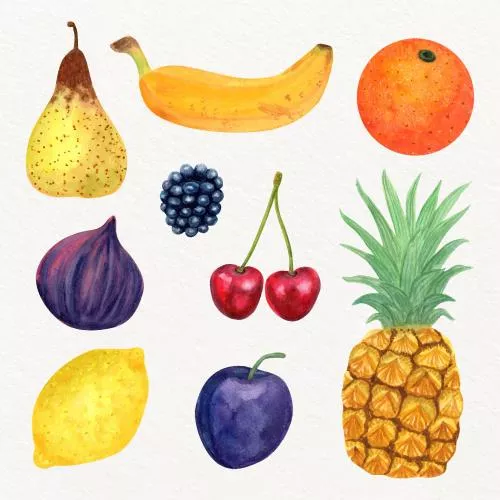 وکتور میوه های کارتونی و آبرنگی نقاشی شده شامل موز و گلابی و پرتقال و آناناس و آلبالو و گیلاس و لیمو و انجیر و شاهتوت فایل Ai و EPS لایه باز با لایه بندی حرفه ای