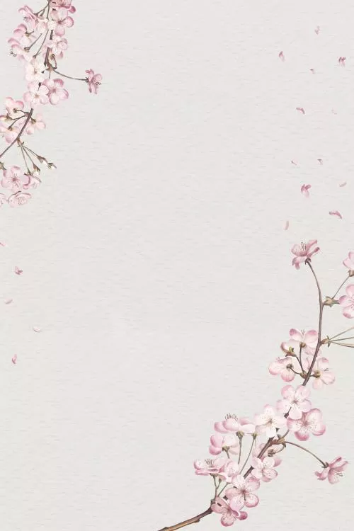 وکتور EPS کارت قاب شکوفه گیلاس 25766