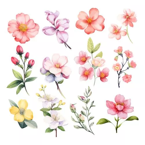 وکتور EPS کلیپ آرت گل های بهاری آبرنگی بامزه روی زمینه سفید 25776