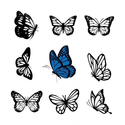 وکتور EPS مجموعه وکتور پروانه های زیبا دست ساز 25977