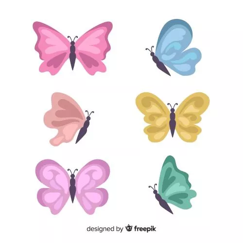 وکتور EPS و AI مجموعه پروانه فلت  26011