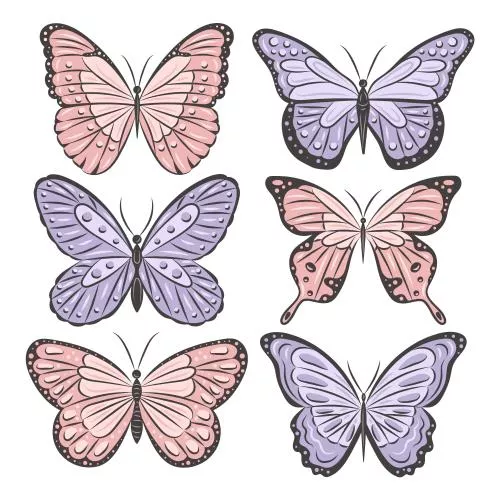 وکتور EPS و AI تصویرسازی پروانه دست کشیده 26024