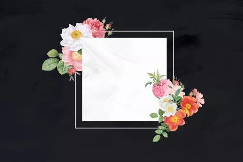 فایل PSD لایه باز حاشیه گل و کادر برای نوشتن به شکل مربع 21631