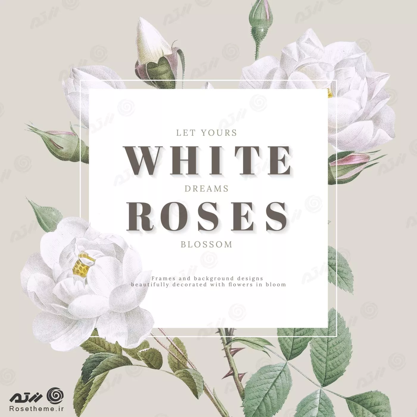 Dream blossom. Floral Mockup. Белый стол и розовые розы мокап. B-Joe - White, White Roses. Mockup Flower.