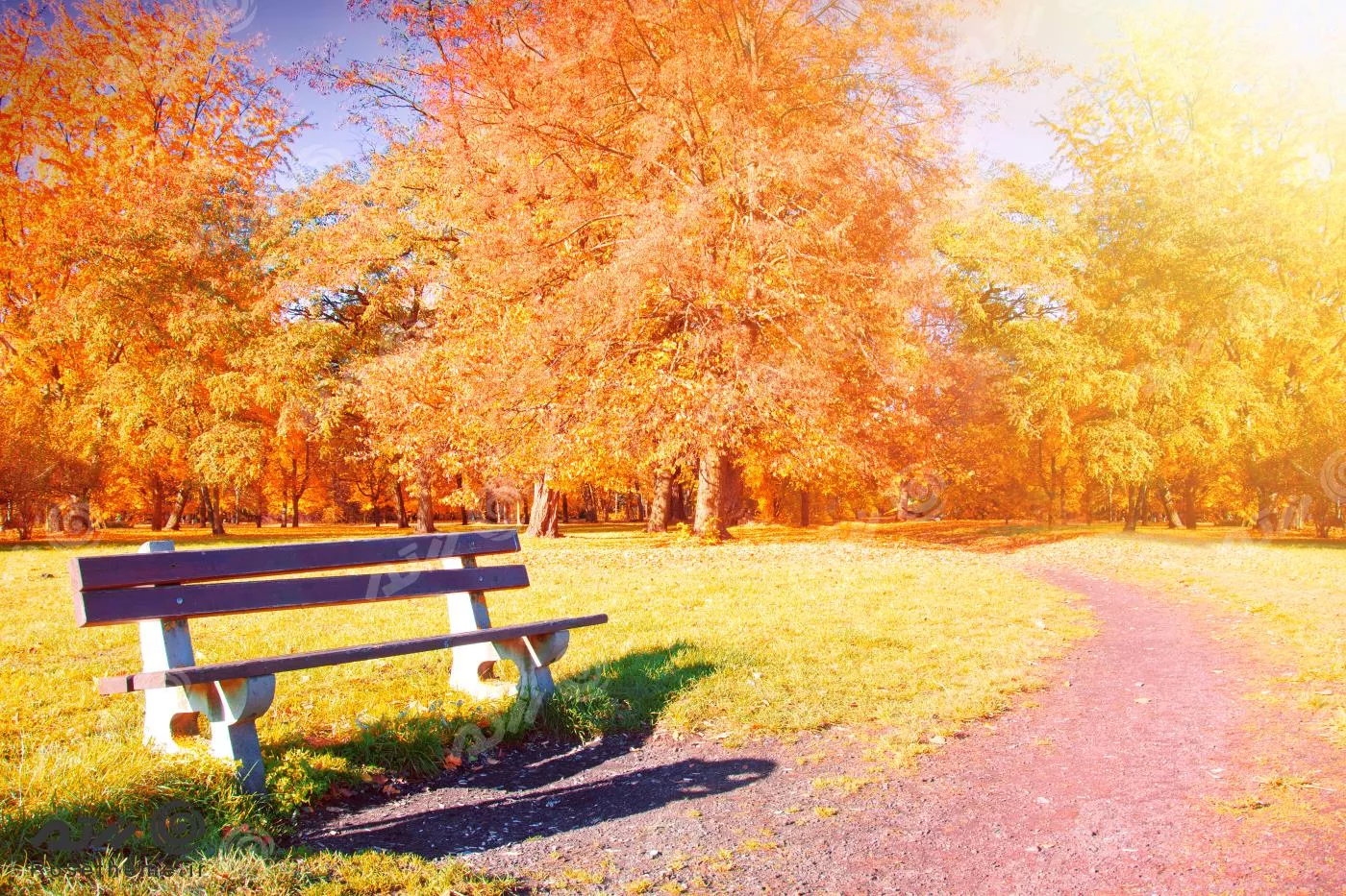 عکس با کیفیت از نمای نیمکت در پارک در فصل پاییز به همراه نمای درخت های پاییزی با برگ های نارنجی 22034