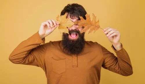 عکس با کیفیت از مردی به همراه برگ پاییزی درخت افرا 22037