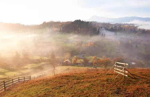 عکس با کیفیت از نمای پاییزی مزرعه و جنگل 22039