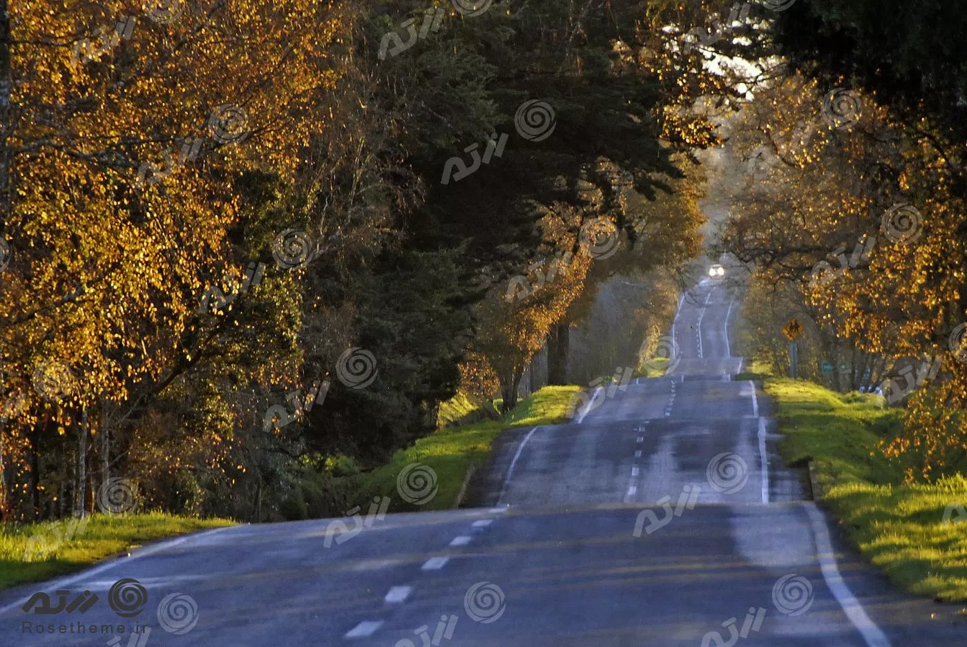 عکس با کیفیت از جاده احاطه شده با درختان پاییزی مناسب برای استفاده به عنوان تصویر زمینه 22062