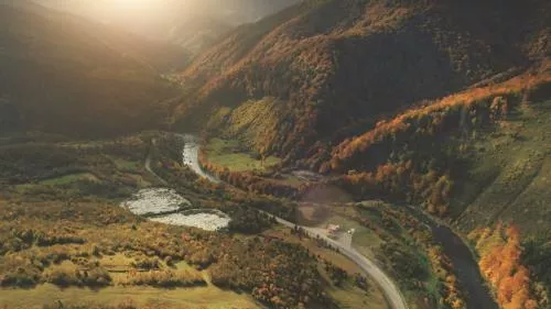 تصویر زمینه جنگل پاییزی از زاویه بالا در فصل پاییز با کیفیت فوق العاده 22018