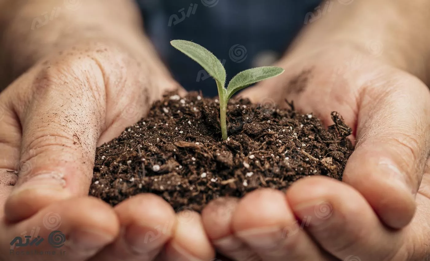 عکس باکیفیت از نمای نزدیک از دستان یک مرد که خاک و گیاه کوچک را در دست گرفته اند 22085