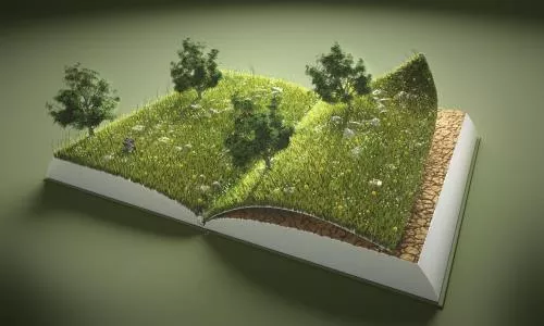 عکس با کیفیت و انتزاعی از درختان و زمین در کتاب 22091