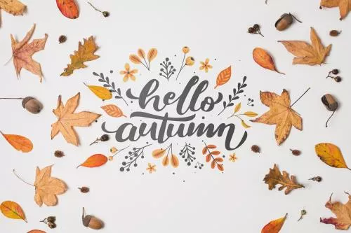 موکاپ PSD متن پاییزی شامل برگ های زرد پاییز 21755