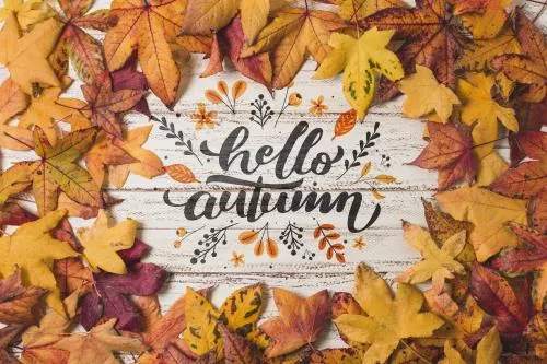 موکاپ پاییزی متن به همراه برگ های پاییزی قرمز و نارنجی و قرمز از نمای بالا فایل PSD لایه باز 21766