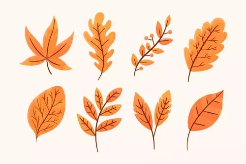 وکتور انواع برگهای پاییزی به رنگ نارنجی قابل جداسازی از زمینه فایل وکتور eps و ai لایه باز 21968