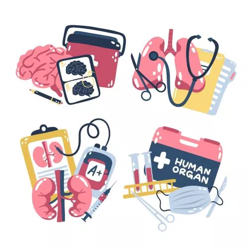 وکتور رایگان پزشکی شامل مغر و کلیه و ریه و جعبه کمک های اولیه  24322